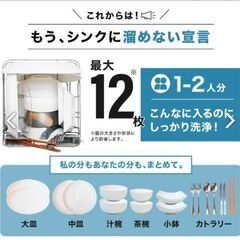 サンコー ラクアmini plus 極美品 (おまけの洗剤つき)の画像