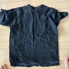 インディアンの画像