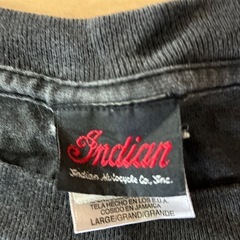 インディアンの画像