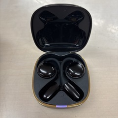 I309 🌈 AVIOT 完全ワイヤレスイヤホン  [ワイヤレス(左右分離) /Bluetooth対応] ⭐ 動作確認済⭐ クリーニング済の画像