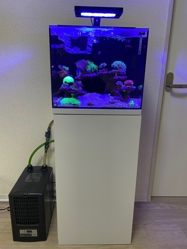 SHELL2 フィルタースキマーセット