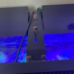 SHELL2 フィルタースキマーセットの画像