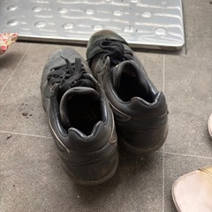 野球のスパイクの画像