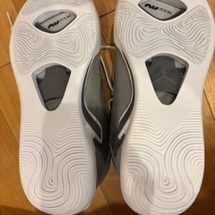 バッシュ　ナイキテイタム1 27.5センチの画像