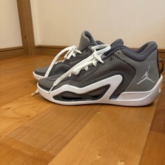 バッシュ　ナイキテイタム1 27.5センチの画像