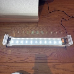 gex LEDライト　POWERⅢの画像