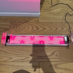 gex LEDライト　POWERⅢの画像