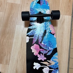 ロングスケボーの画像