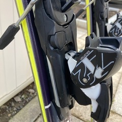 サロモンスキー　セットの画像