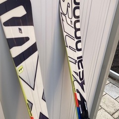 サロモンスキー　セットの画像