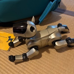 アイボ　AIBOの画像