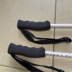 中古品:ジュニア競技用の軽いポールの画像