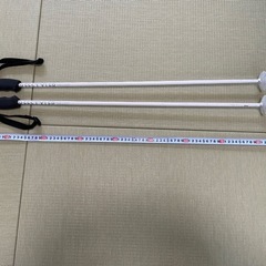 中古品:ジュニア競技用の軽いポールの画像