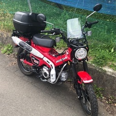 HONDA CT125   ハンターカブの画像