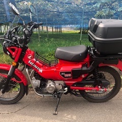 HONDA CT125   ハンターカブの画像