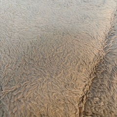 ファーラグ
の画像