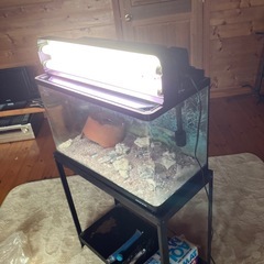 水槽セットの画像