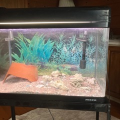 水槽セットの画像