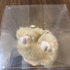 ラブブのレプリカです❣️の画像