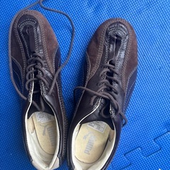 プーマ　スニーカー　２４　　中古品の画像