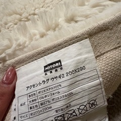 ニトリ　アクセントラグ　200×290の画像