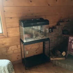 水槽セットの画像