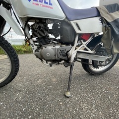 ジェベル200  
の画像