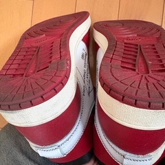 NIKE オフホワイトシガゴの画像