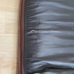 ゆったりリクライニング座椅子 / サイズ大きめ・しっかり安定感あり / ペット喫煙なしの画像