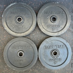 マーシャルワールド 可変式ラバーダンベル25kgセット アイロテック ファイティンロードの画像