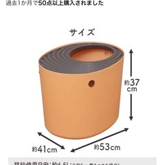 猫 とトイレの画像