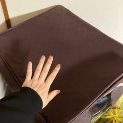 (引き取り先決定しました！)衣装ケース　布の画像