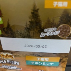 子猫用　ウエットフードまとめの画像