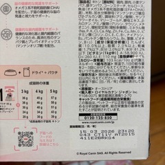 子猫用　ウエットフードまとめの画像