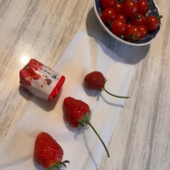 いちごの苗の画像