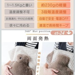 新品未使用　USB あったかフワフワ　ホッカイロの画像