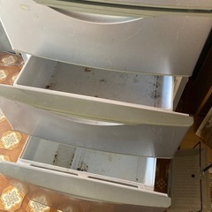 冷蔵庫 無料でOK
の画像