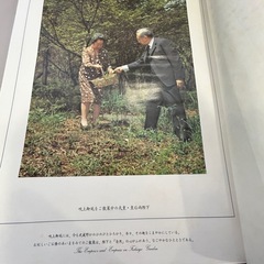 中販紅　【Week】 株式会社学習研究社　皇居の四季　現状渡し　11-09-09 の画像