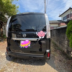 セレナライダーハイブリッドの画像