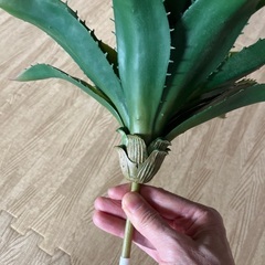 フェイクグリーン　サボテンの画像