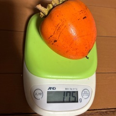 渋柿自由に収穫して下さいの画像