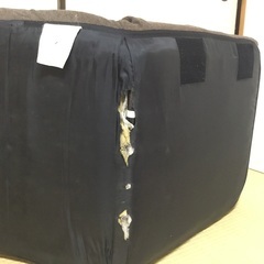 【25年12／28まで】ニトリの座椅子の画像