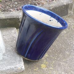 盆栽鉢（化粧浅鉢）&7号化粧深鉢の画像