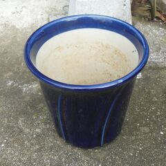 盆栽鉢（化粧浅鉢）&7号化粧深鉢の画像