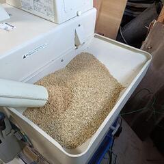 新米令和７年（２０２５年）産にじのきらめき玄米３０Kgを￥１９､０００で出品②の画像