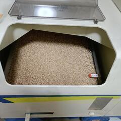 新米令和７年（２０２５年）産にじのきらめき玄米３０Kgを￥１９､０００で出品②の画像