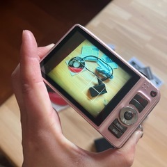 リユース　デジカメの画像