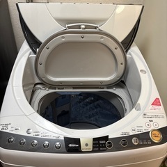 乾燥機つき洗濯機(11月22日まで限定)の画像