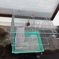 鳥かごの画像