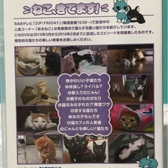 RAB放送　ZIP! あおねごDVD 1〜3巻の画像